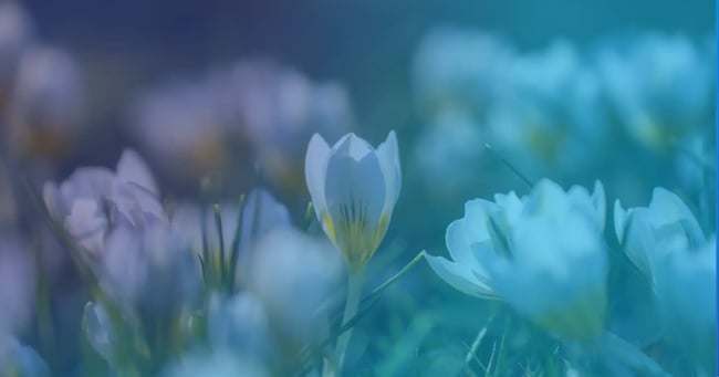 Spring Update: The Perfect Time For Change