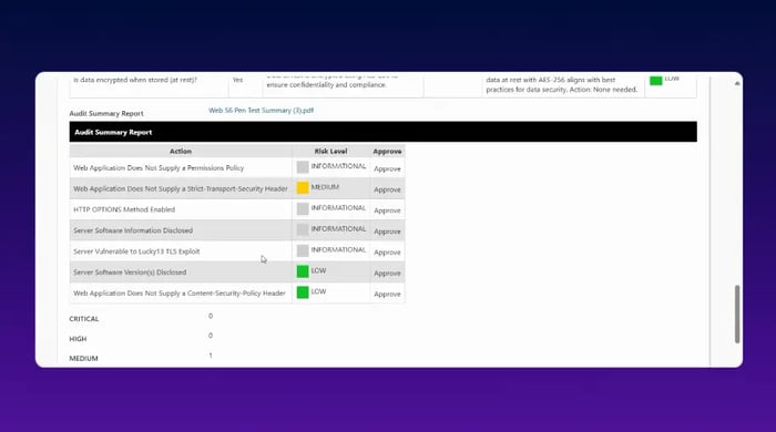 Audit summary with risk levels displayed
