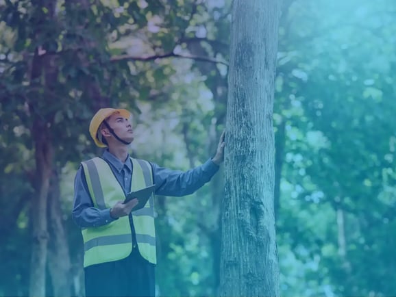 10 EHS Management Software Tools For Construction Health & Safety