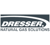 Digital Process Automation Platform - Dresser