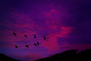 Webinar Recording: Process Excellence Network BPM Live