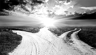 Digital Business Agility - Our Vision