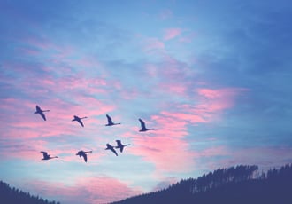 Migrate InfoPath Forms to FlowForma using InfoPath Migration Tool