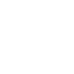 Pen Test Icon