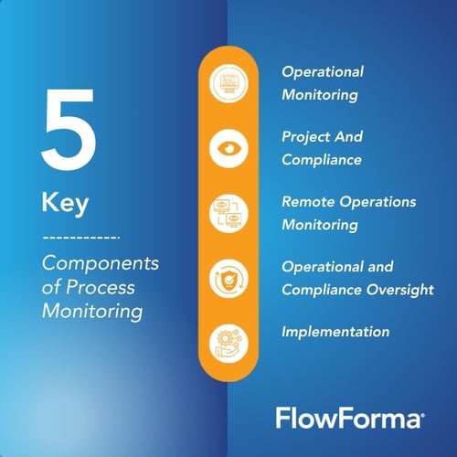 Infographic illustrating business process monitoring​ types
