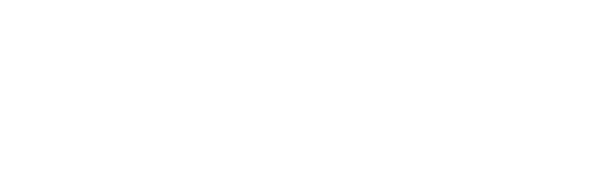 Ametek
