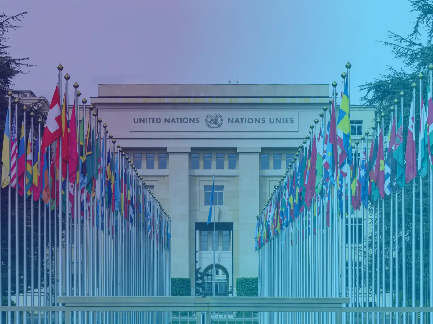 Government Contract Management: Guide to Automation