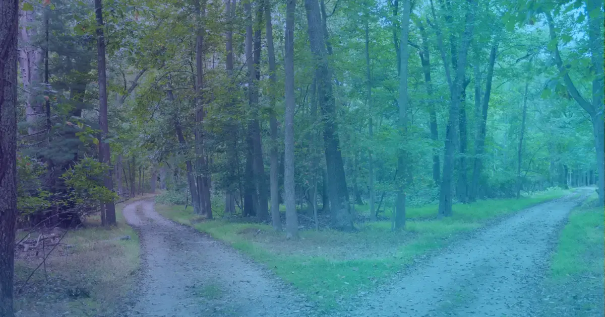 How Process Automation Helps Organizations Navigate Challenges