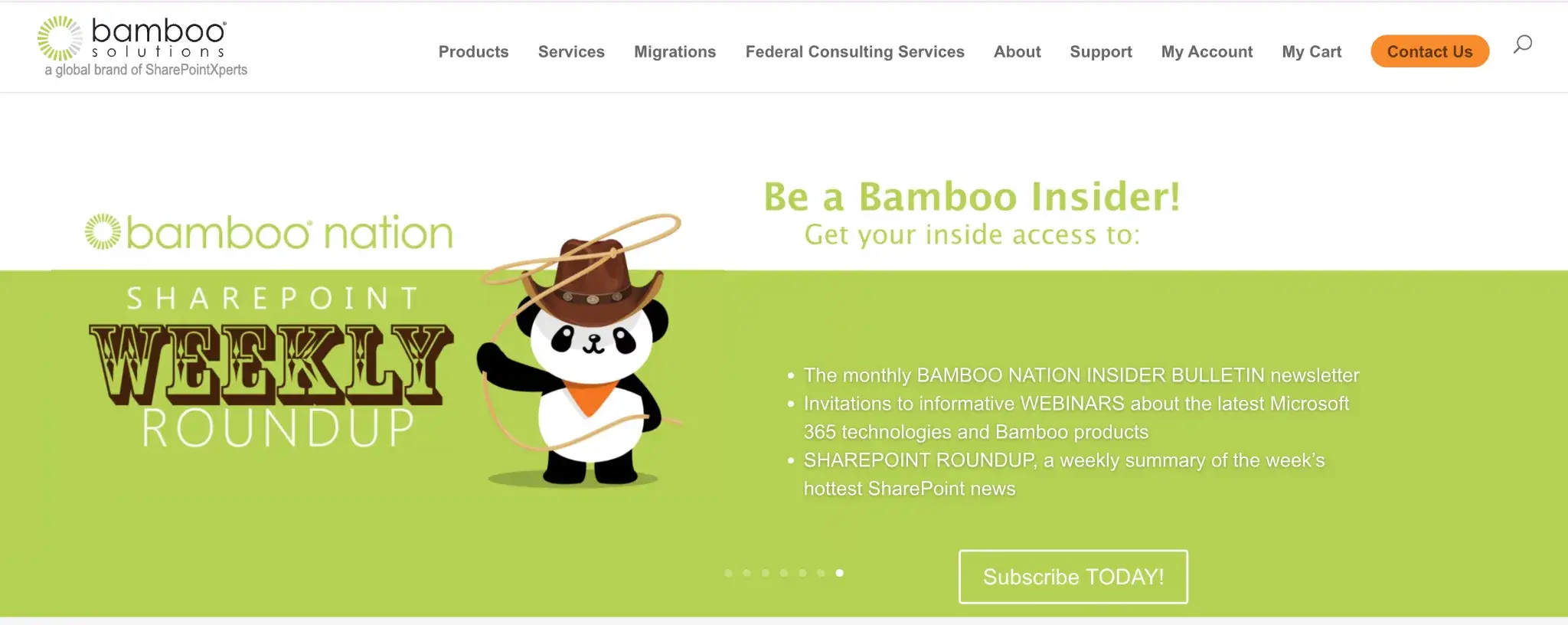 Screenshot of Bamboo Solutions’ Homepage